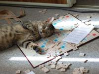 Jeu de Scrabble