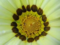 Cercle parfait