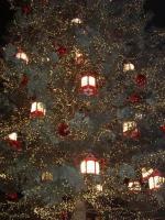 Le grand sapin