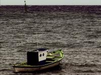 Fuerteventura : Pêche