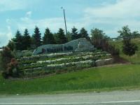 Welcome to Niagara Falls !