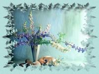 Fleurs et coquillages