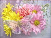 Fleurs & papillon