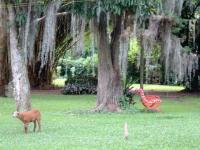 Parc Bogota