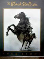 l'étalon noir