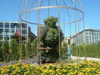 Mosaiculture