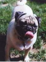 Peggy