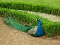 Domaine Mariemont : je pose