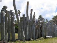 Tahiti : Ile des Pins