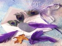 Plumes d amour