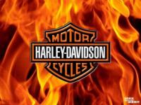 Harley1