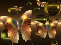 Papillon bulle