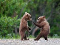 Alors, on boxe un peu....