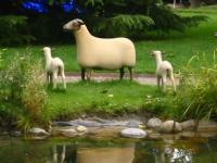 Dans le jardin du Musée