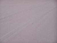 Palma : sable fin