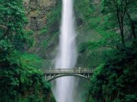 Jolie chute