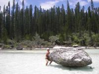 Ile aux pins