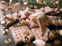 Nolwenn et les oiseaux