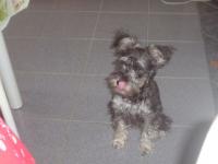 Vicky