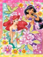 Disney-princesse