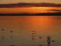 Coucher de soleil à Kamouraska