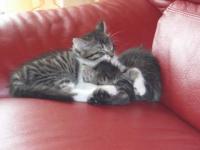 Tete et Loulou