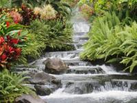 Chute d'eau