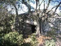 Capitelle dans la garrigue