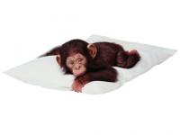 singe