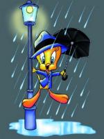 Chantons sous la pluie