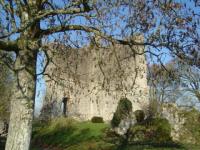 Donjon domfront