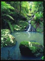 Beauténature