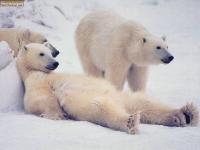 Relax