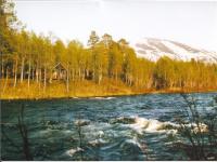 Rivière norvégienne