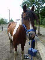 Mon chouchou Lucky