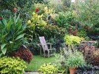 Plantes diverses