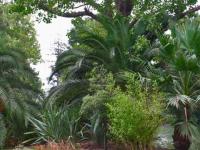 Plendeur du parc