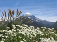 Argentine : Volcan Lanin