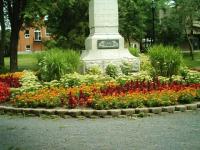 Fleurs au parc