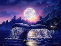 Baleine bleue