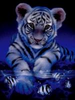 White Tiger