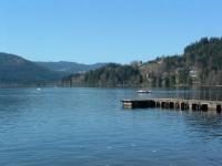 Le Titisee en fôret noire