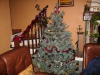 Sapin Noel 2006