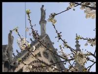 C'est le printemps !