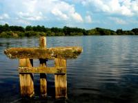 Etang de Sologne