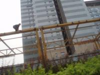 Vertige