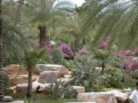 Jardin Thaïlande
