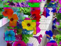 Patchwork floral