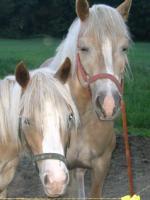 Lilas jane et son bébé