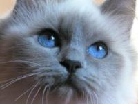 Tu as de beaux yeux, tu sais